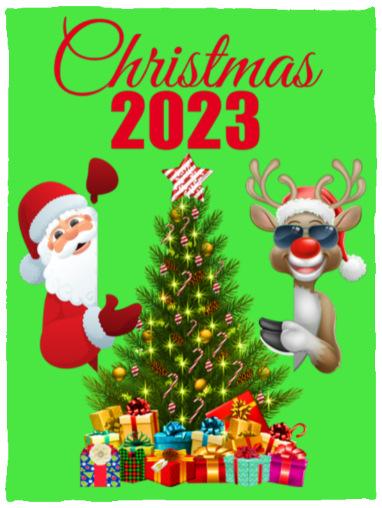 Christmas 2023 Cozy Plush Fleece Blanket - 30x40