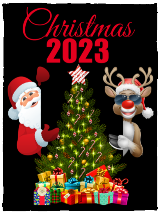 Christmas 2023 Cozy Plush Fleece Blanket - 30x40