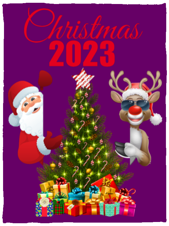 Christmas 2023 Cozy Plush Fleece Blanket - 30x40