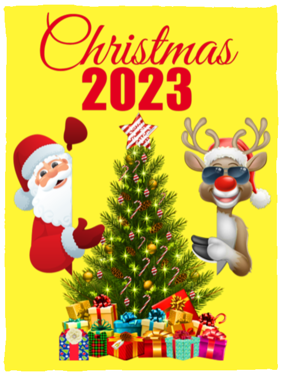 Christmas 2023 Cozy Plush Fleece Blanket - 30x40