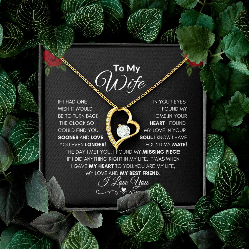 TO MY WIFE